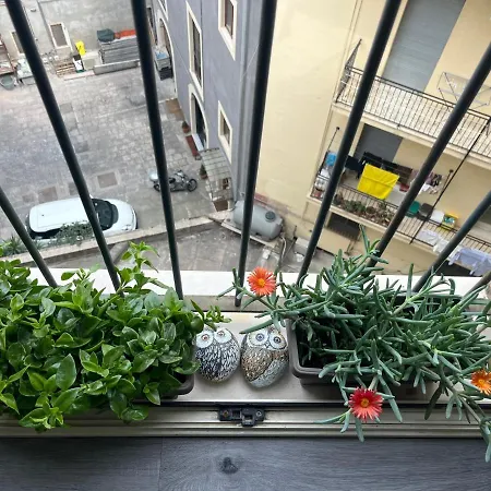 Apartament La Terrazza Di Sant'agata Katania