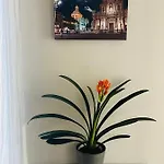 La Terrazza Di Sant'agata 公寓 *